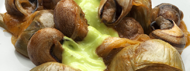 Alcachofas con caracoles y crema de cebollino