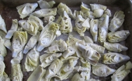 Alcachofas en salsa blanca