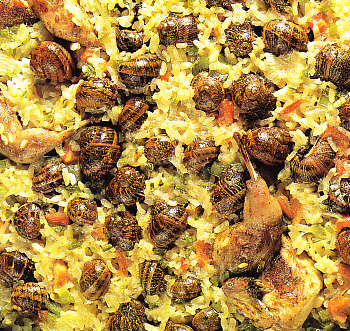 Arroz con codornices y caracoles