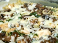 Arroz con setas y pollo