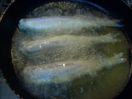 Bacaladillas frías