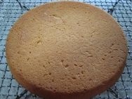 Bizcocho base