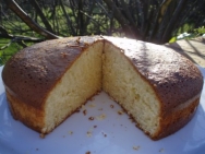 Bizcocho de aceite de oliva