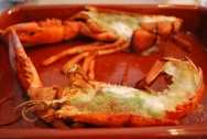 Bogavante al horno