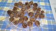 Bolitas de magret de pato con higos y salsa agridulce