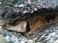 Caballas en papillote
