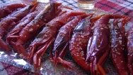 Carabineros a la plancha