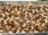 Caracoles a la mantequilla de anchoas
