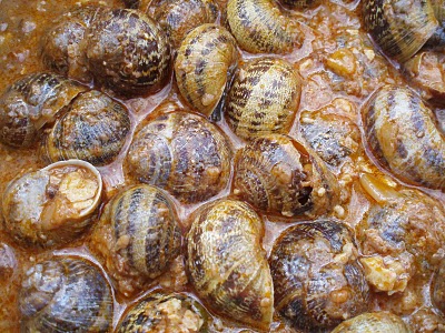 Caracoles con espinacas