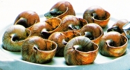Caracoles con mantequilla