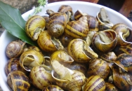 Caracoles con mojecillo