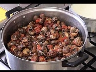 Caracoles de montaña