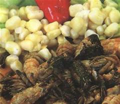 Ceviche de langostinos
