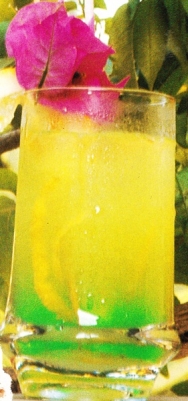 Cóctel cedro-menta