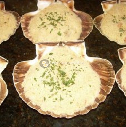 Conchas montserratinas