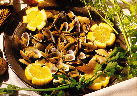 Coquinas a la marinera