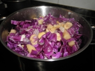 elaborando la col