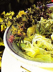 Ensalada andaluza