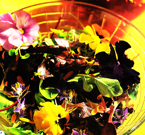 Ensalada de flores y lechugas amargas con vinagreta de Módena