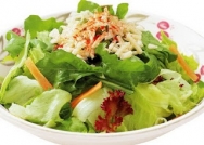 Ensalada de verduras y pollo con 3 salsas