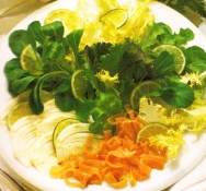 Ensalada variada al salmón