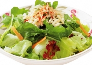 Ensalada variada con achicoria