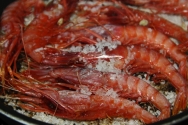 Gambas a la sal