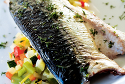 Lomos de caballa con vinagreta de verduras