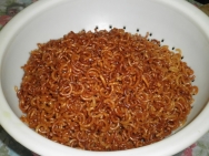 Los fideos pasados por la sartén