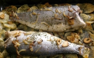 Lubina al horno a la murciana