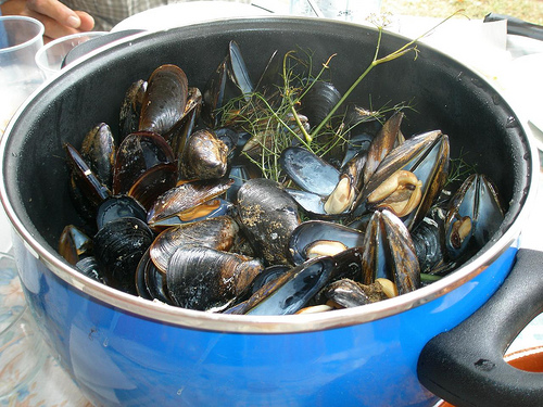 Mejillones con hinojo,tomate,ajo y azafrán