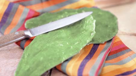 Nopales frescos