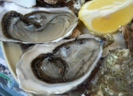 Ostras