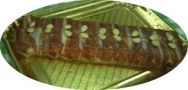 Pastel de jamón ibérico