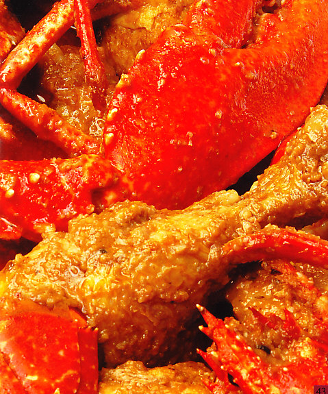 Pollo con bogavante