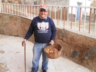 Recién cogidos 
