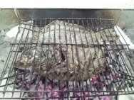 Rodaballo a la brasa