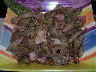 Setas de cardo
