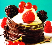 Nido de chocolate con nata y frutas del bosque