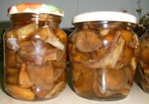 Rovellones en conserva con aceitunas