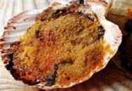 Receta de Vieiras de Fiesta Mayor
