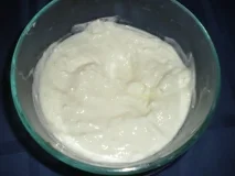 Receta de Yogur casero