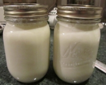 Yogur de soja casero