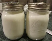 Yogur de soja casero