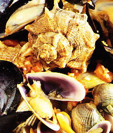 Surtido de conchas de marisco con Chardonnay