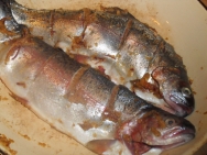 Trucha marinada
