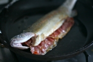 Truchas con jamón