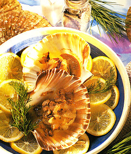 Vieiras doradas al horno